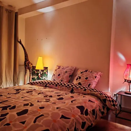Grand Loft Bourgeois, Coeur Vieux 아파트 리옹